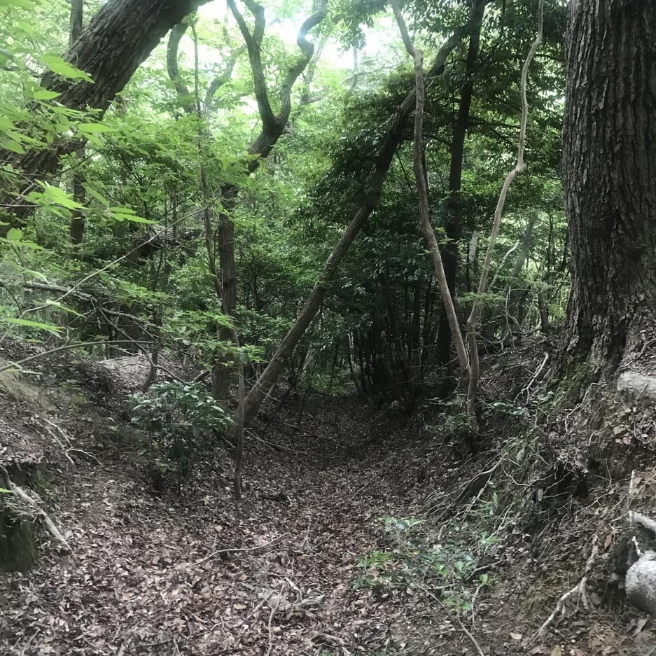 根福寺城