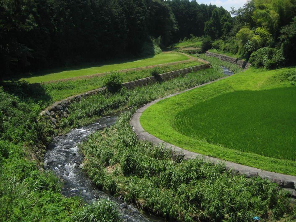 深沢城