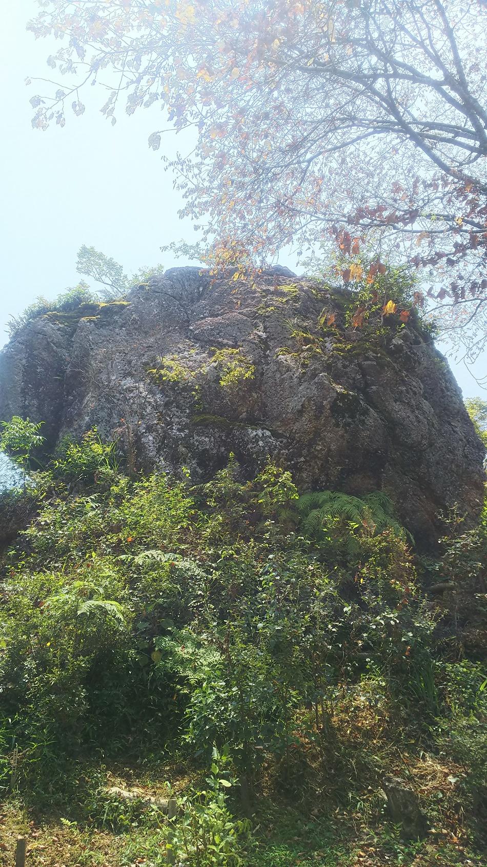 佐川城