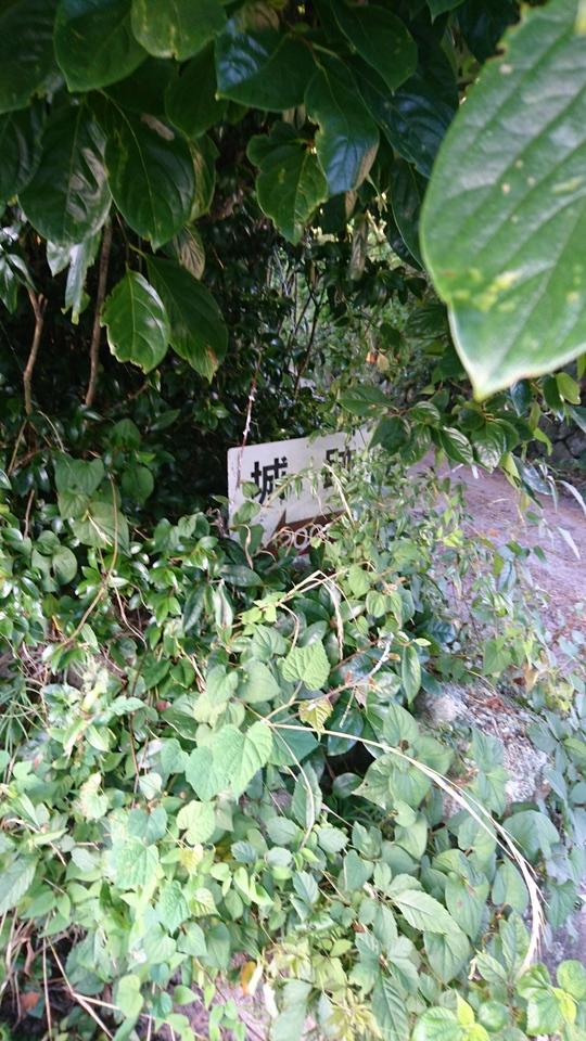 箱柳城