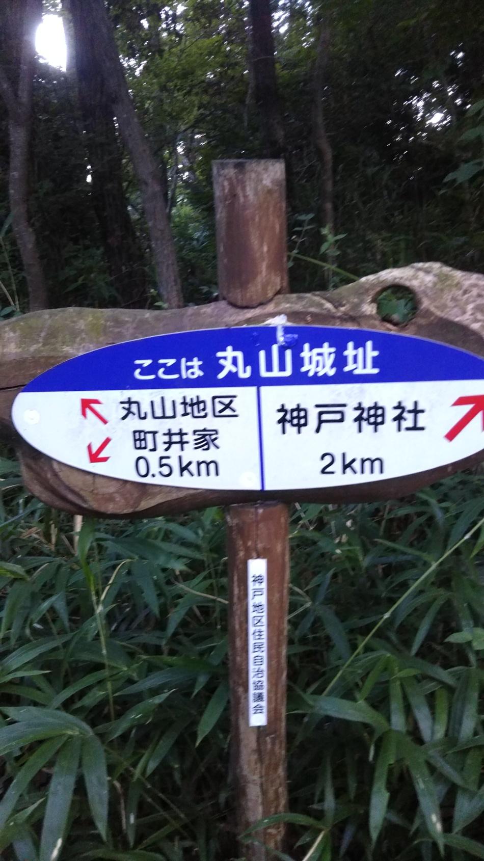 丸山城