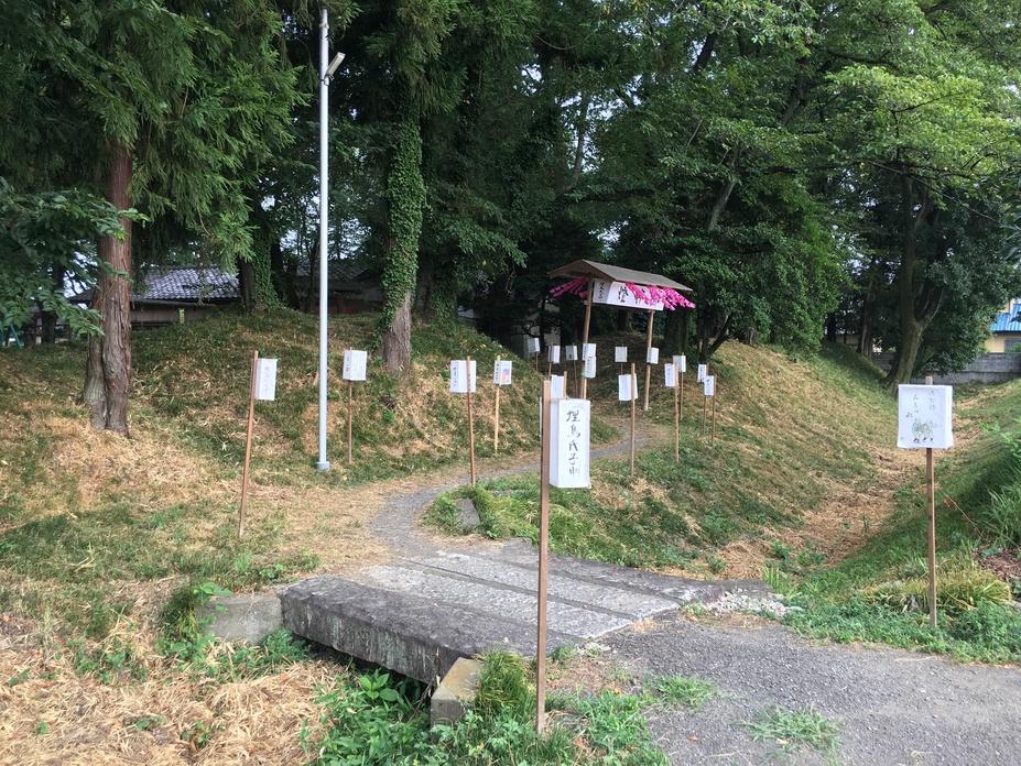 別府城