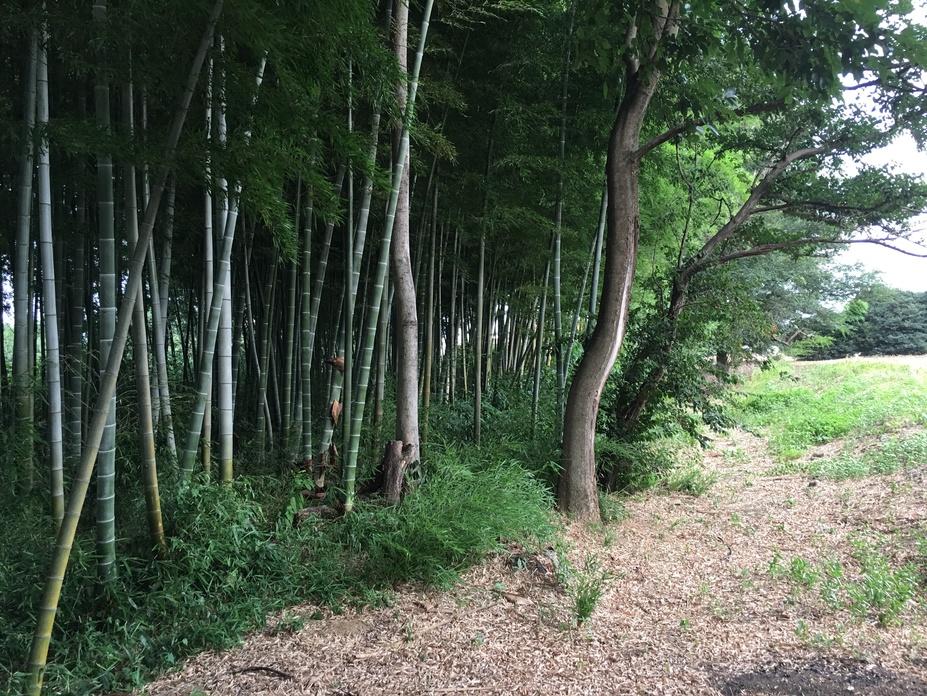 人見館