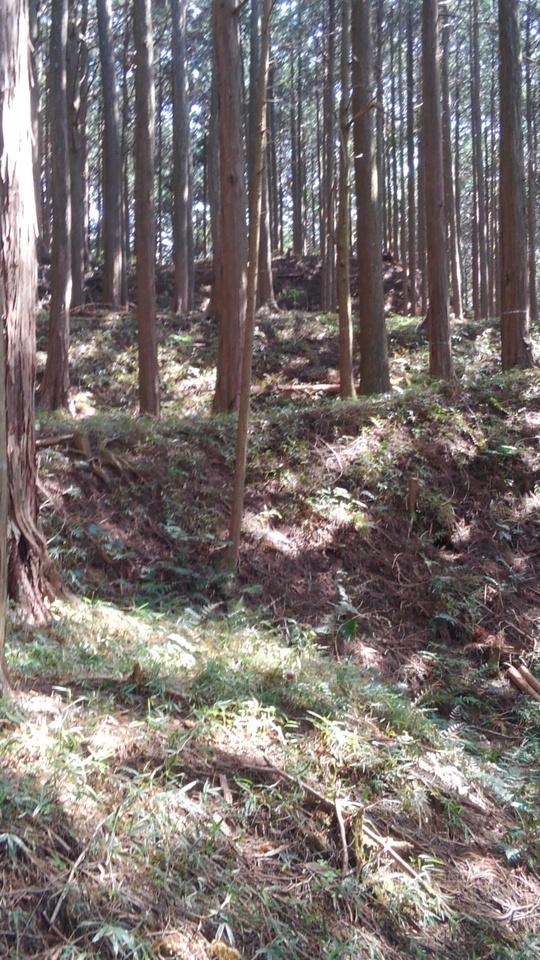 古宮城