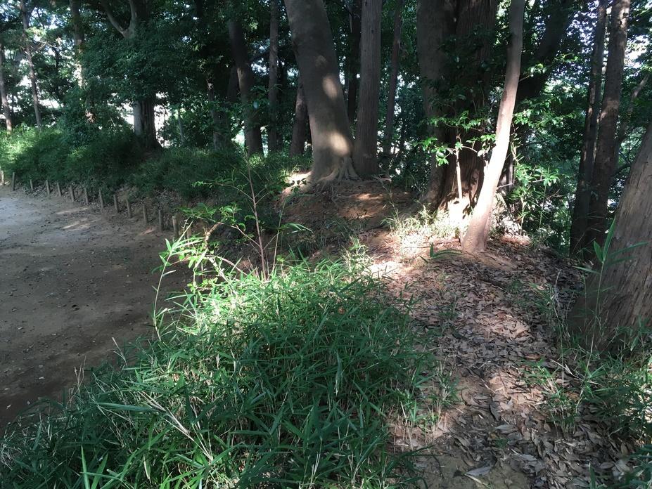 小金城