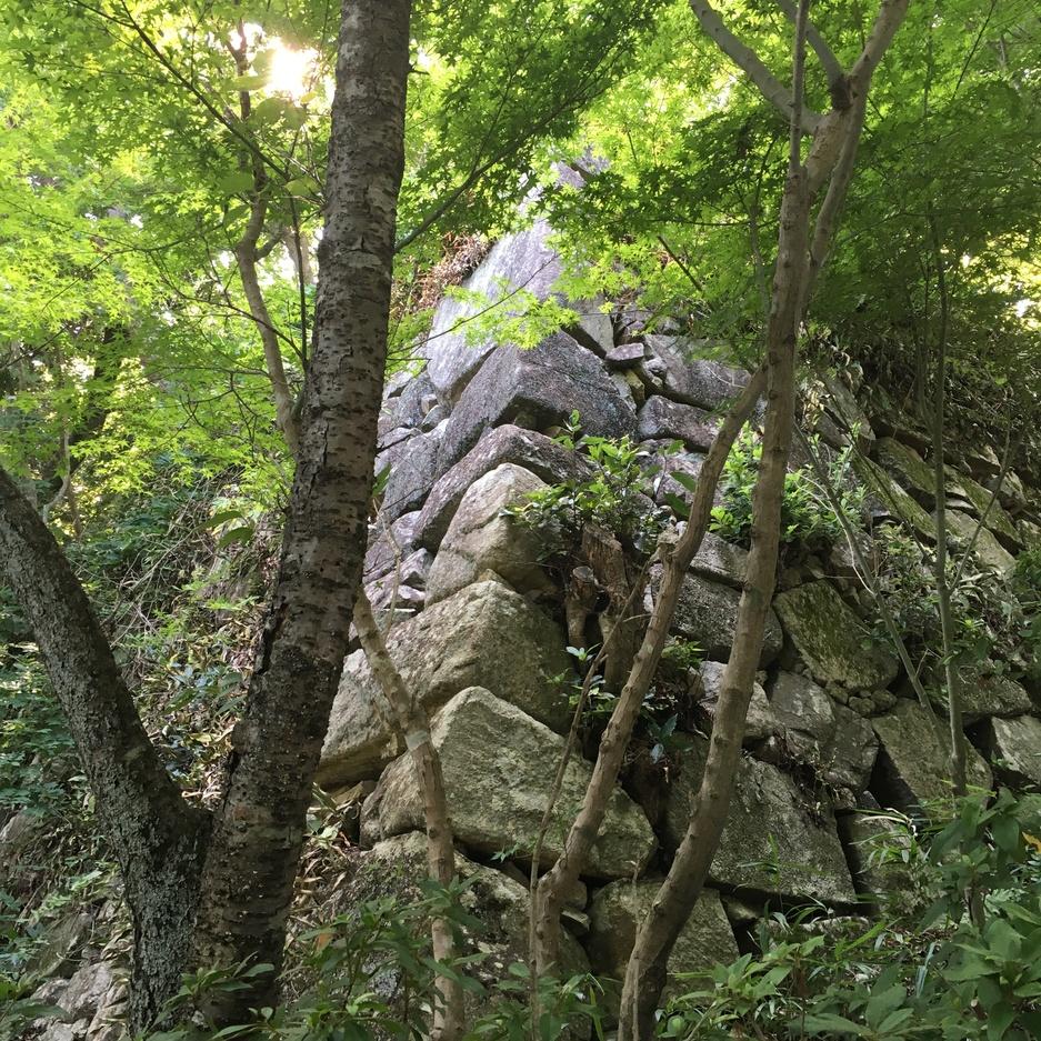 八幡山城