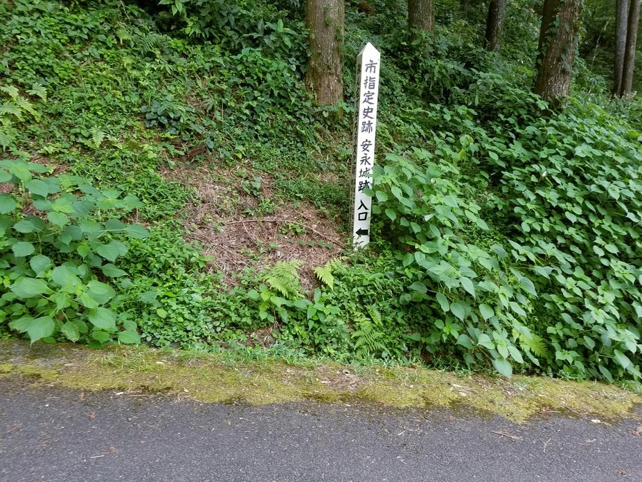 安永城