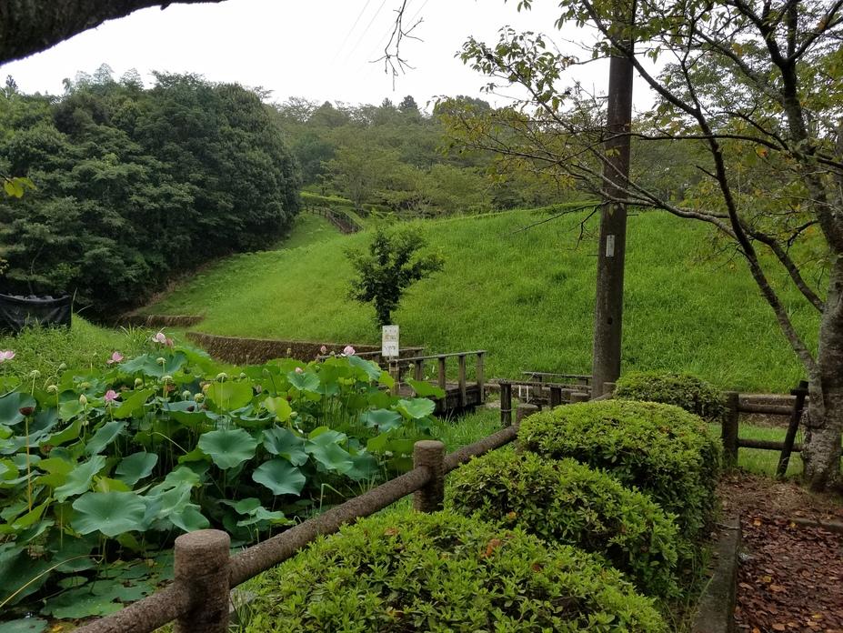樺山城