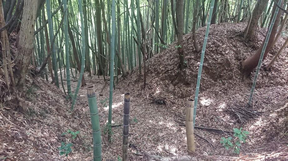 駒ヶ嶺城