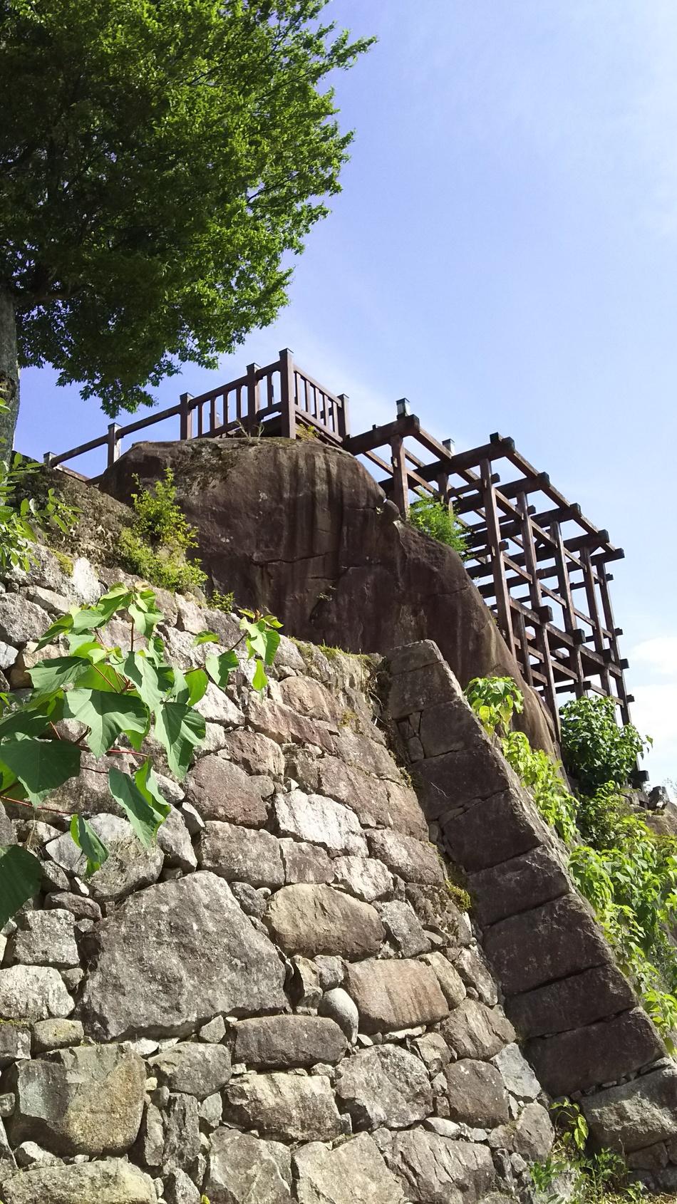苗木城