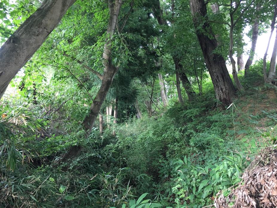 田地ケ岡館