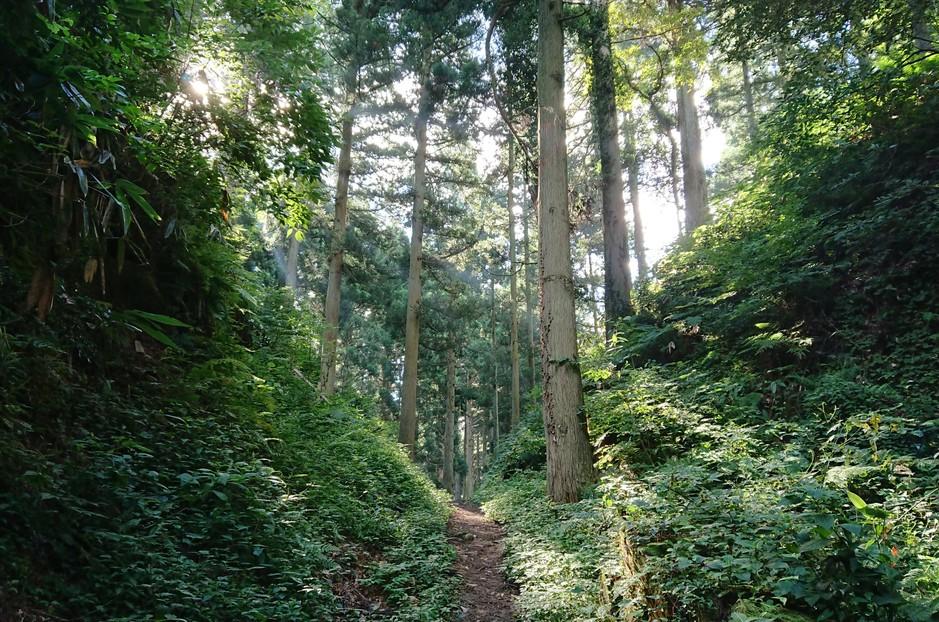 増山城