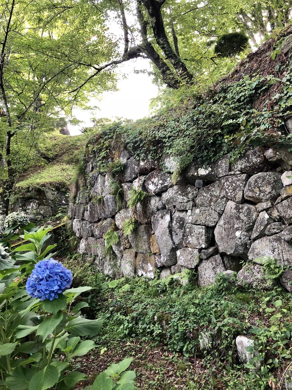 猪苗代城