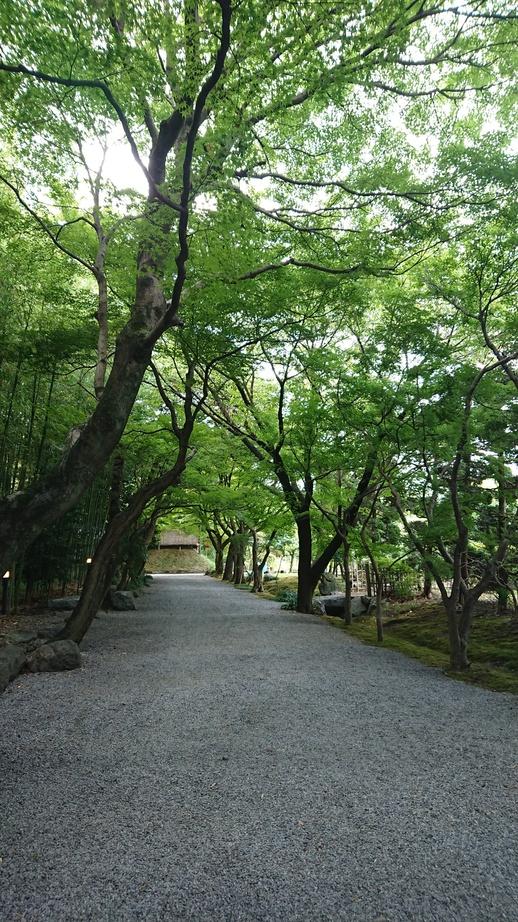 御茶屋屋敷