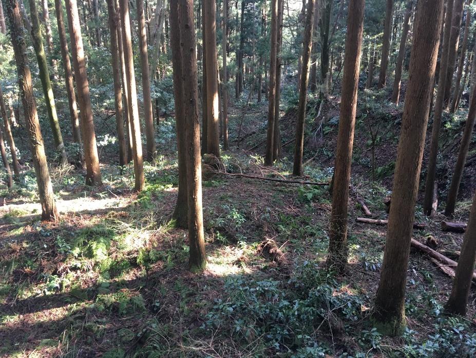 舟岡山城