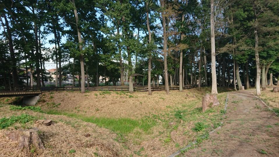 花崎城