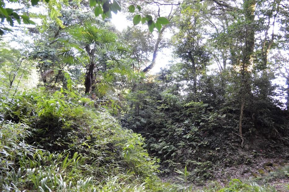 本宮山城