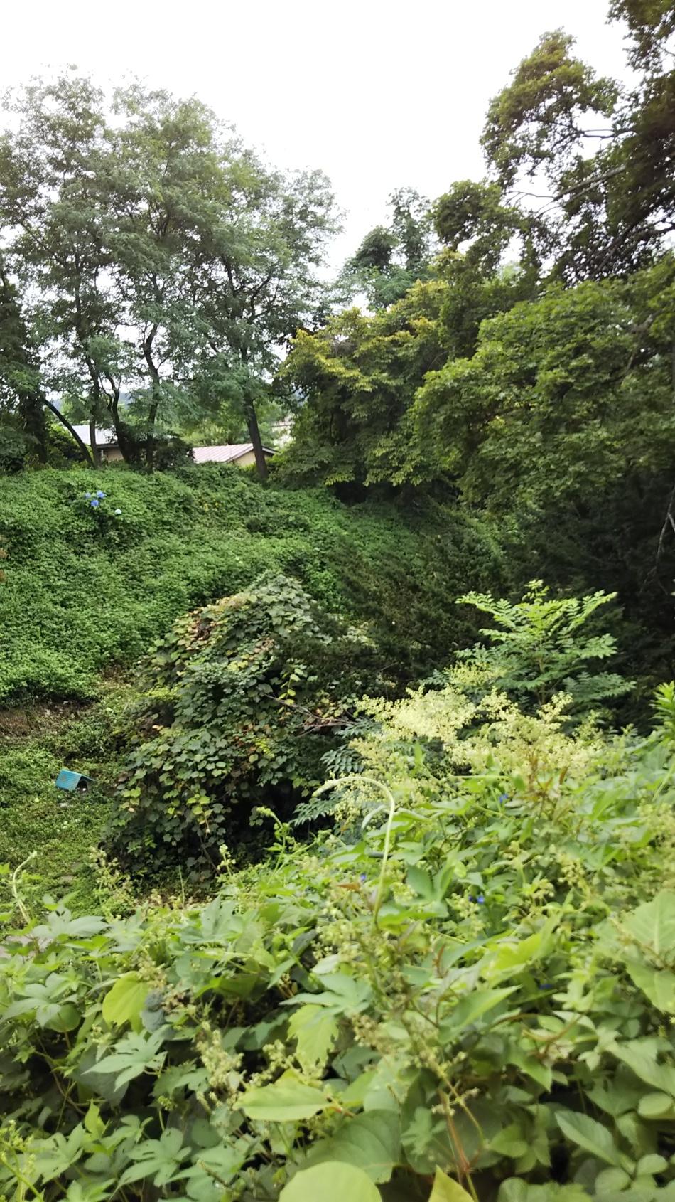野辺地城