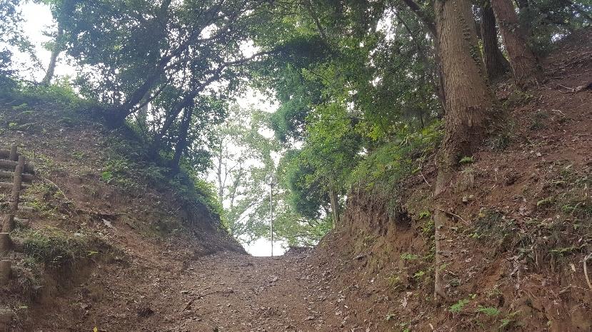 真里谷城