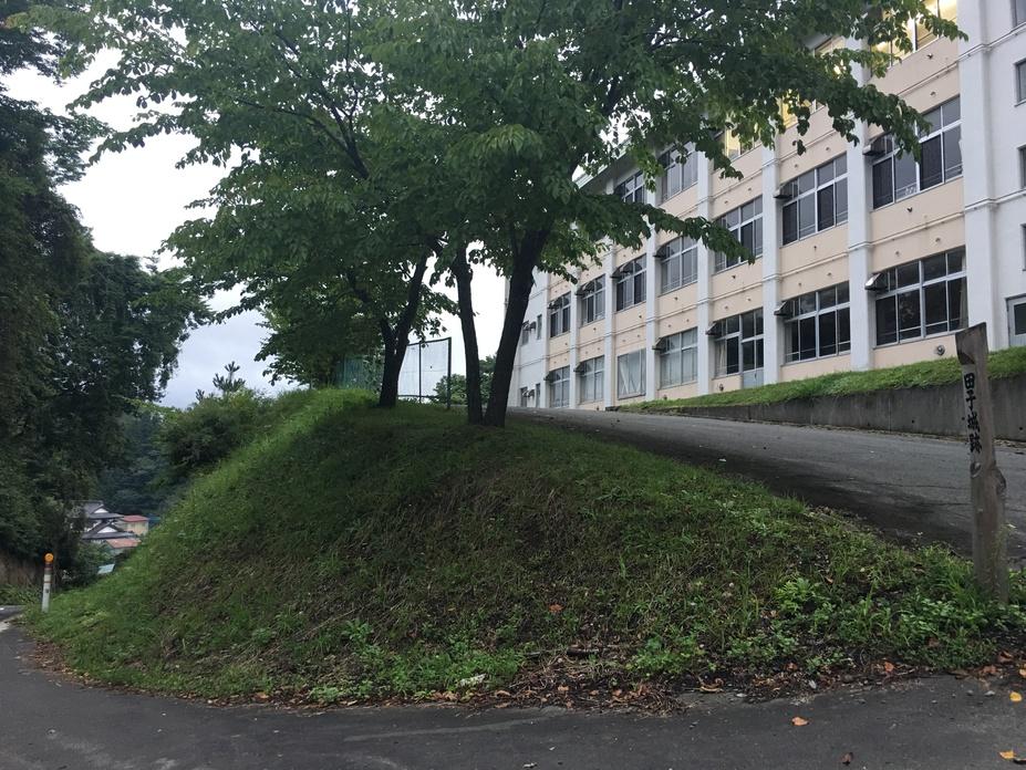 田子館