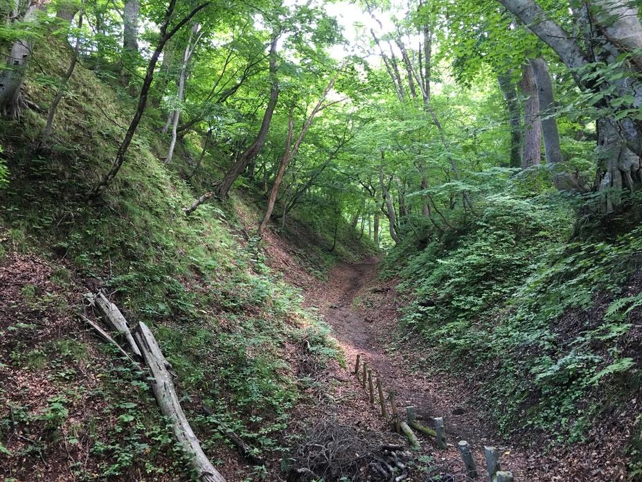 中野不動館