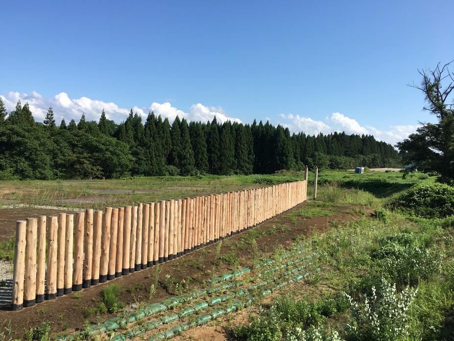 高屋敷館