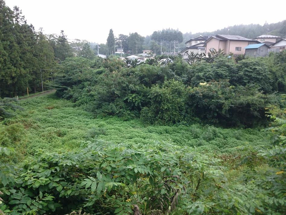 伝法寺館