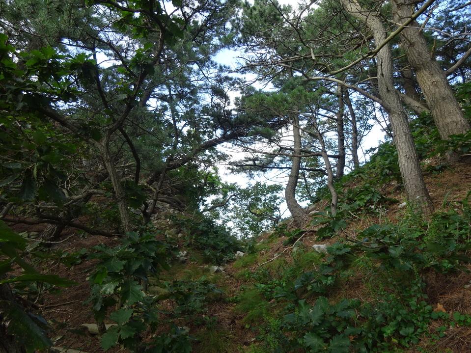 茶右衛門館
