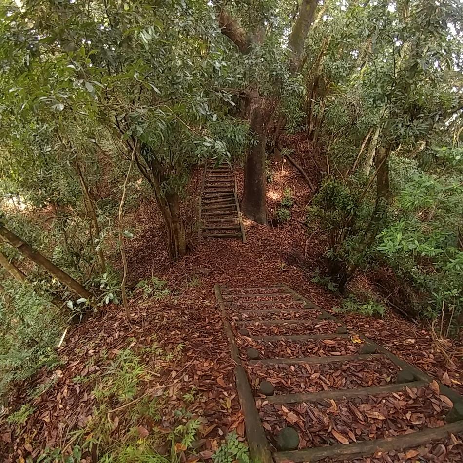 丹後城