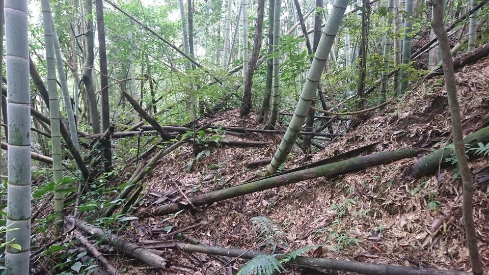 小山田城