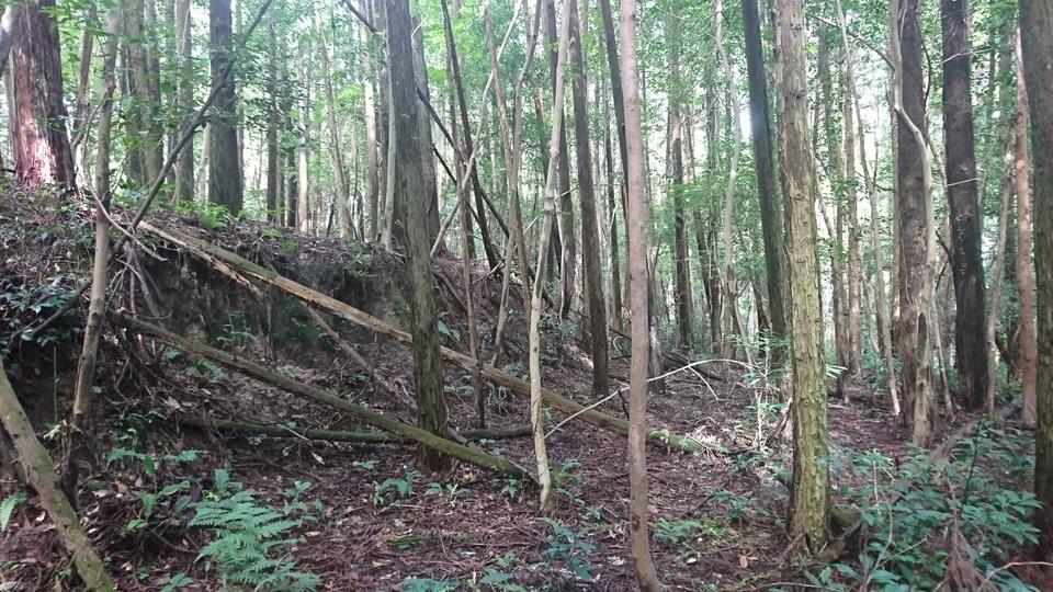 郡山城