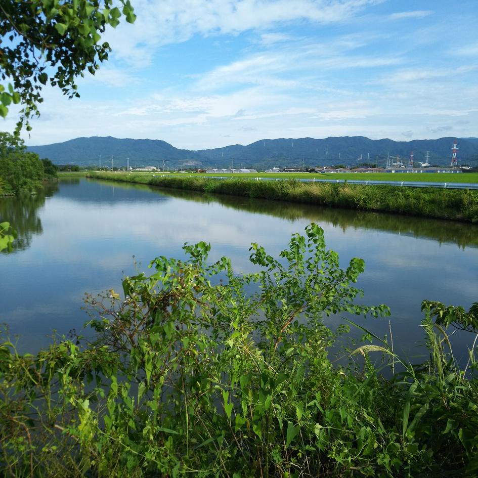 姉川城