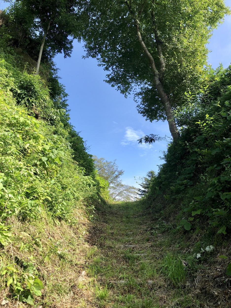鶴丸城