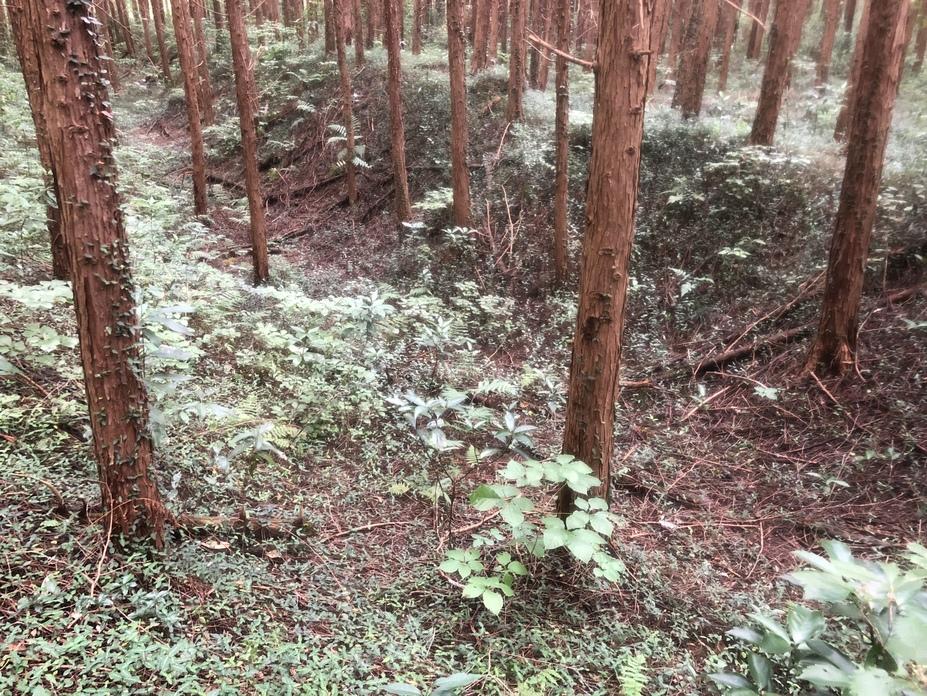 徳次郎城