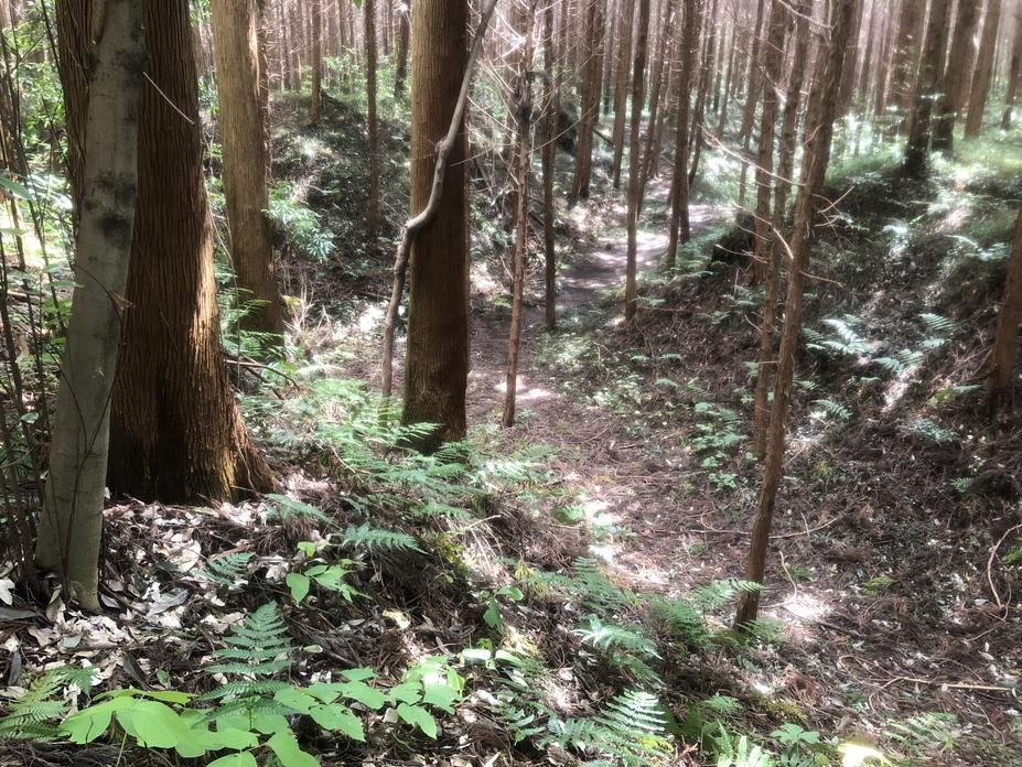 徳次郎城