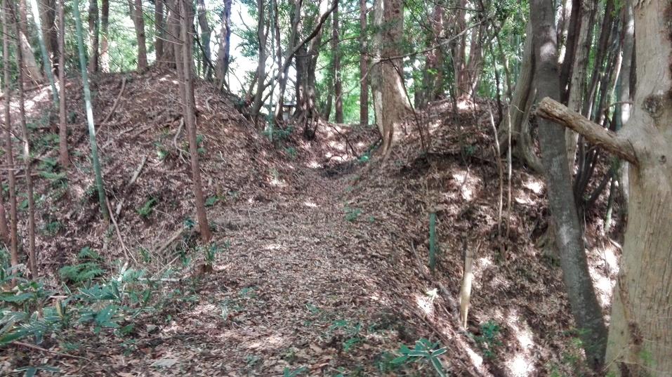 駒ヶ嶺城