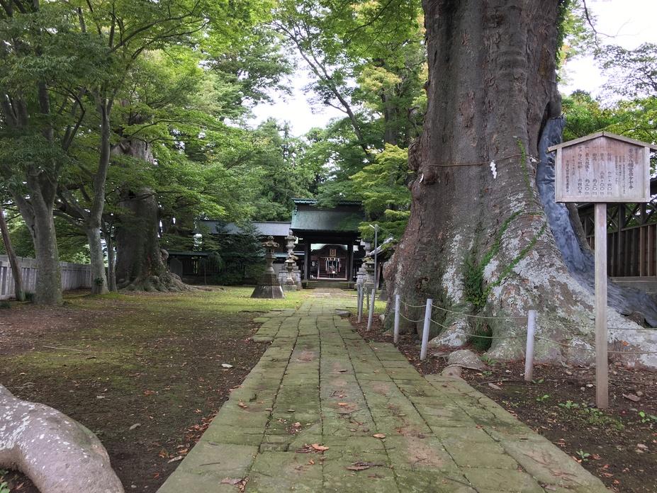 太田城