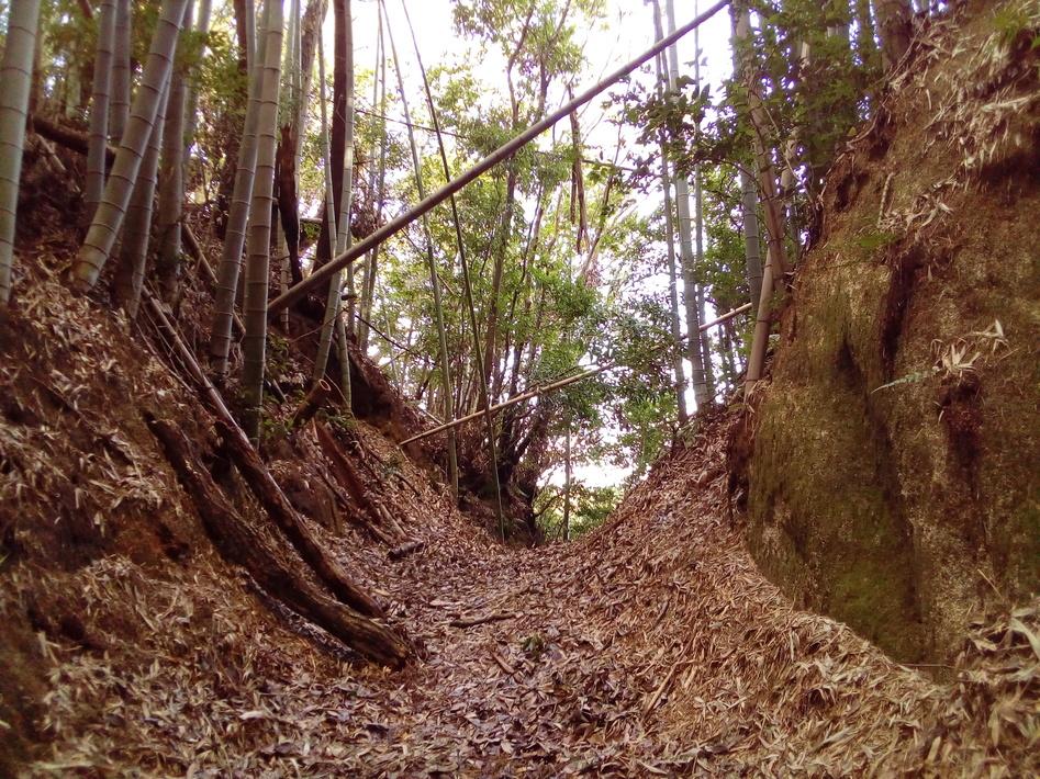 田原城