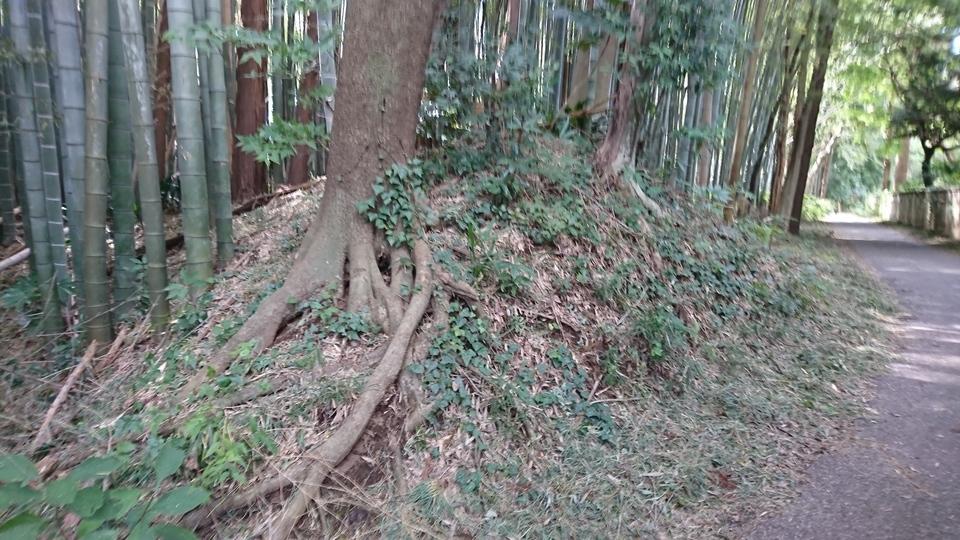 中峠城