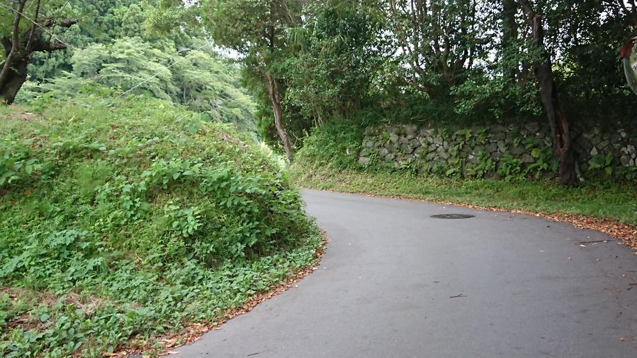 中村城
