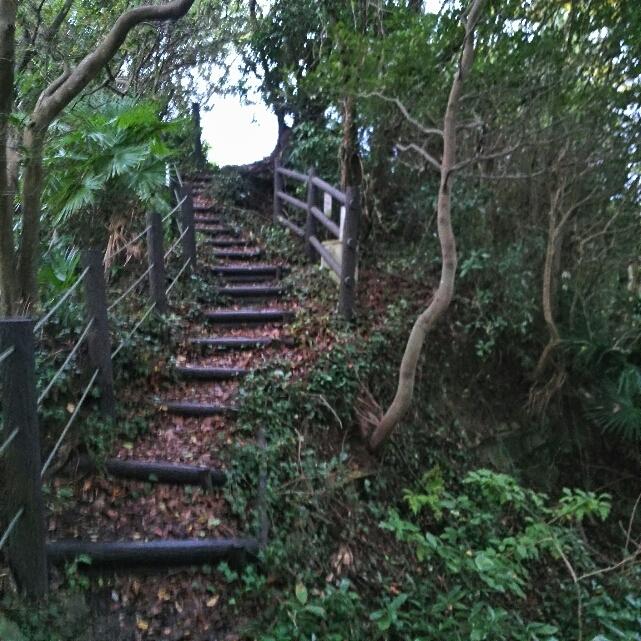 阿尾城