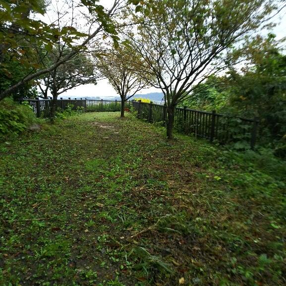 阿尾城