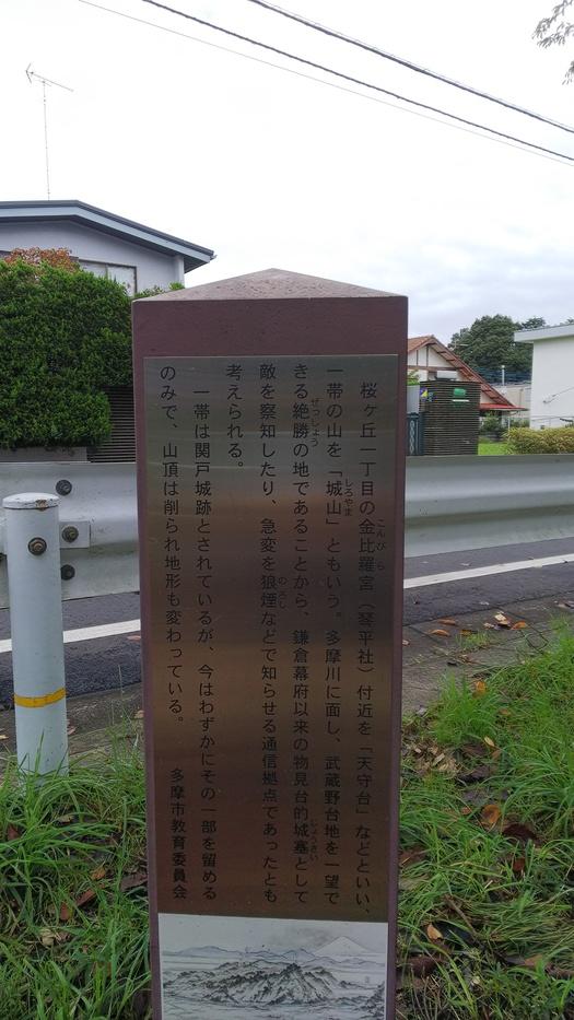 関戸城