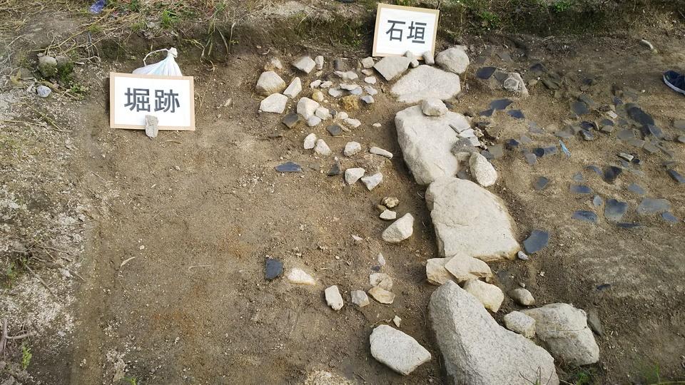 大溝城