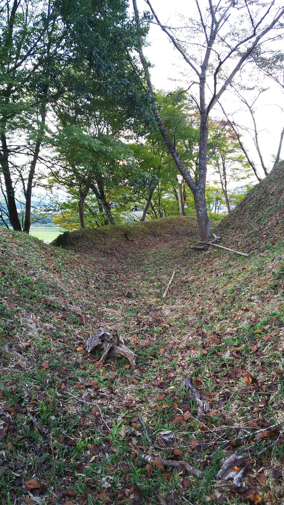 猪崎城
