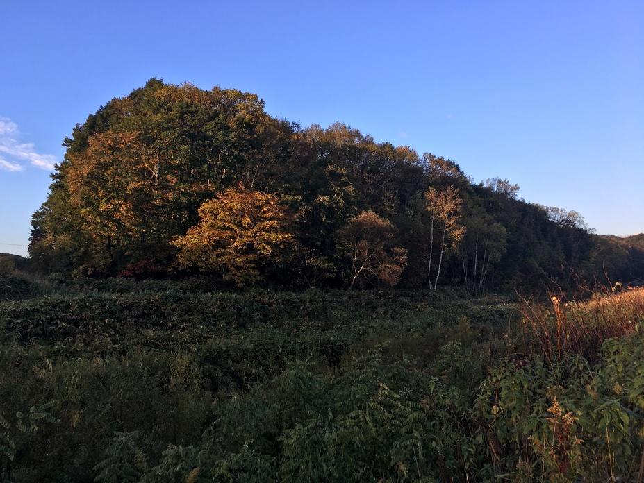 中の沢チャシ