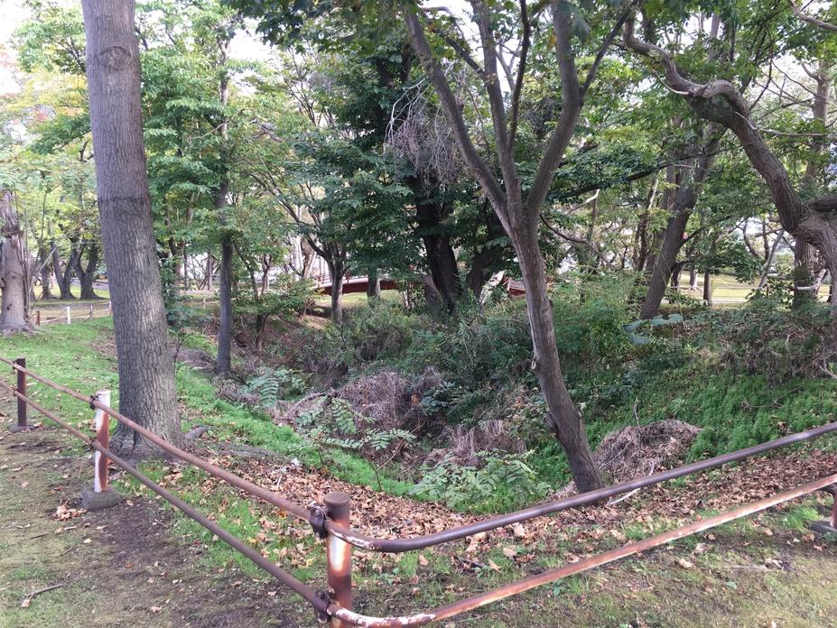 館山チャシ