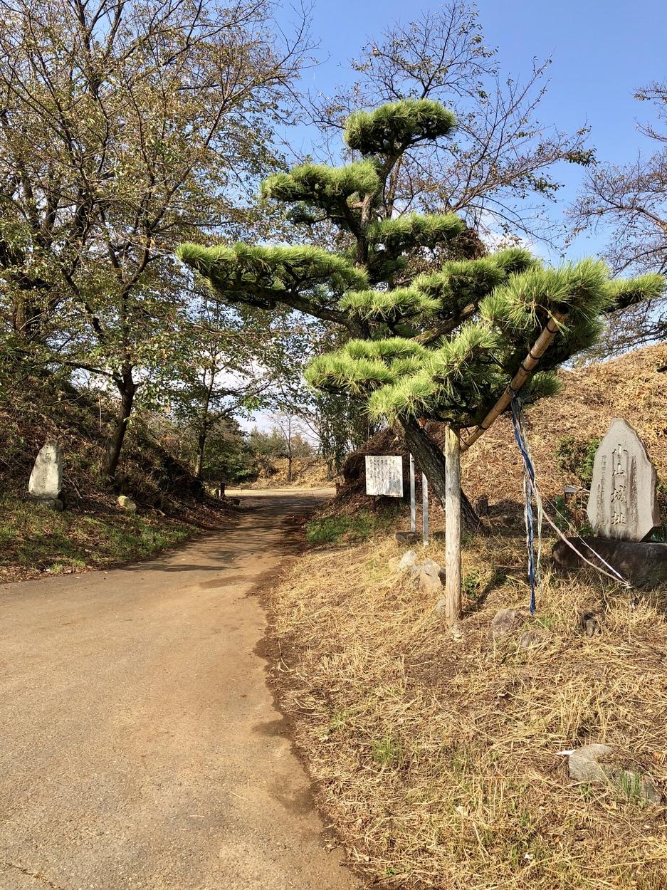 小山城