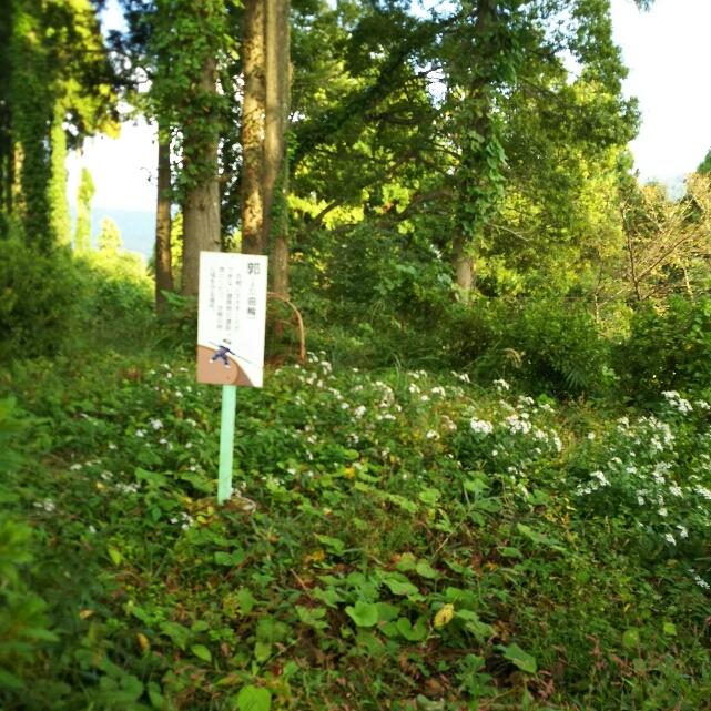 東郷槇山城