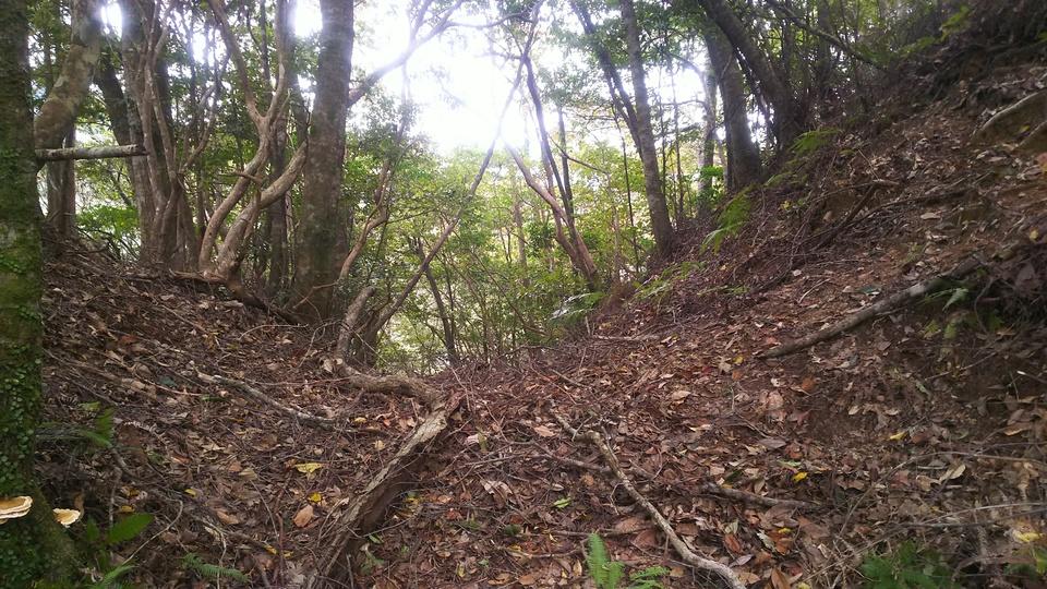 四手城